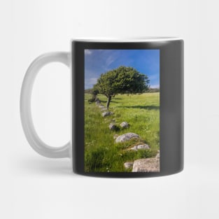 Tree and Remains of Wall near Sandyhills Dumfries and Galloway Photograph Mug